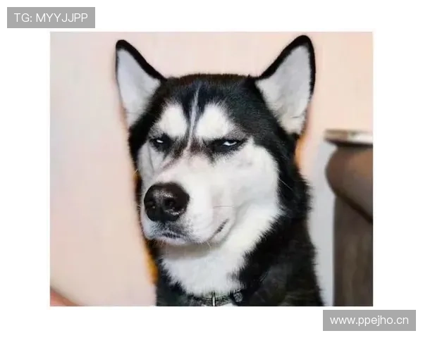 唐佳豪这生活真不像个运动员，朋友圈早比他赛场热闹多了！