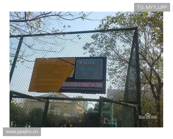 全面解读篮球赛场挑战判罚规则的运作机制